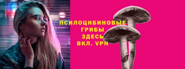 не бодяженный Сясьстрой