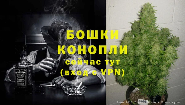 МДМА Белокуриха
