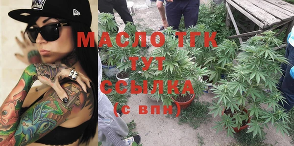 винт Тайга