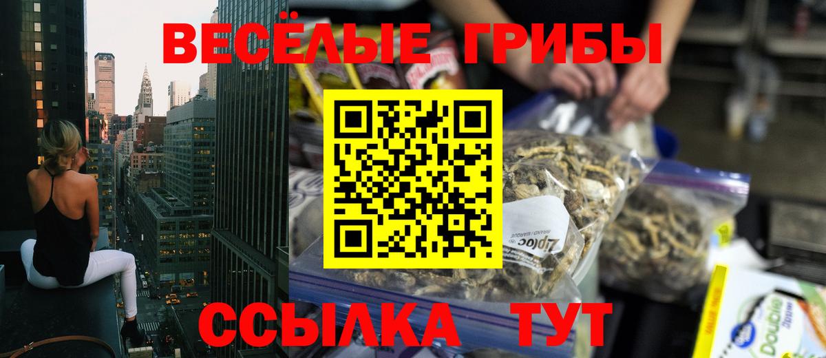 Галлюциногенные грибы Psilocybe  Вход с VPN  хочу наркоту  Псилоцибиновые грибы Magic Shrooms  Гай 