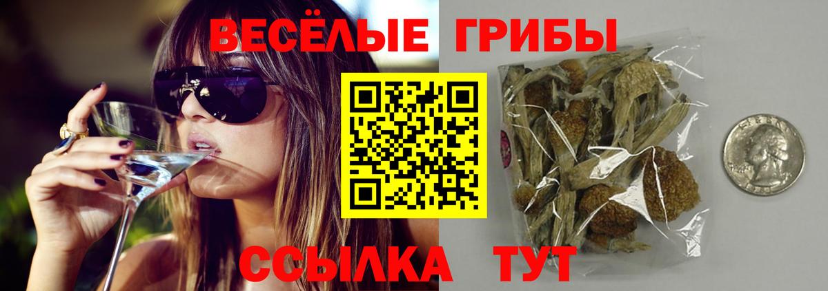 Псилоцибиновые грибы Magic Shrooms Гай